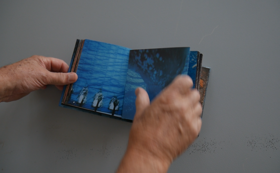 Vdeo do livro